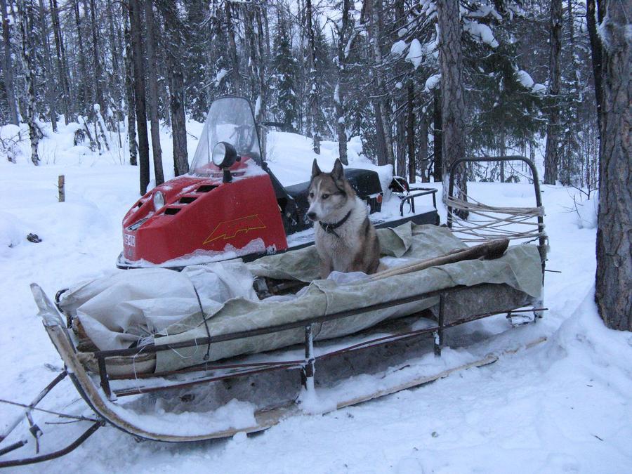 Сани для снегоходов - купить в Томске на официальном сайте в интернет-магазине СнегоТехника